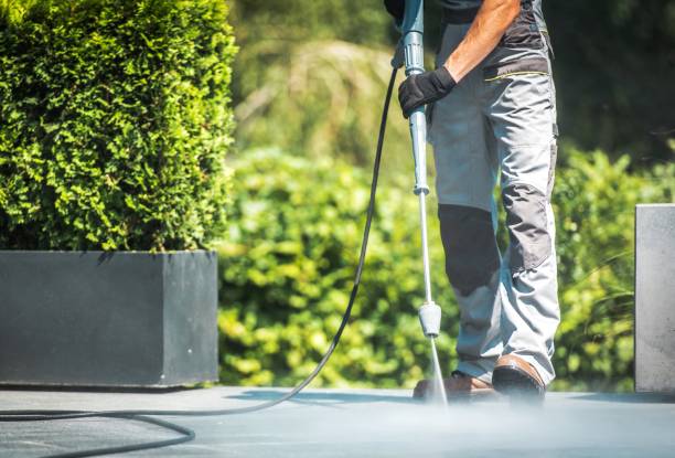 Best Rust Removal  in Eagar, AZ