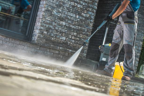 Best Roof Washing  in Eagar, AZ