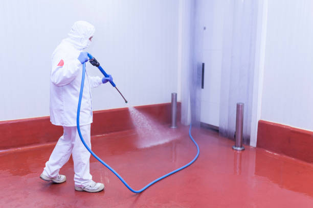 Best Patio and Deck Pressure Washing  in Eagar, AZ