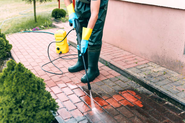 Best Sidewalk and Walkway Cleaning  in Eagar, AZ