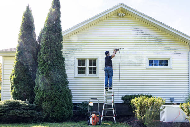 Best Residential Exterior Washing  in Eagar, AZ